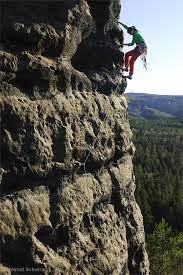 Plaisir Das Fehlte Noch Sandsteinblogger De