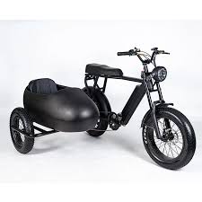 Image result for bicycle sidecar