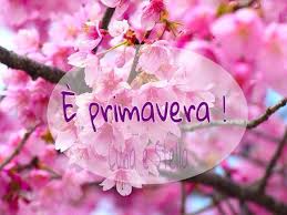 Colora la tua giornata con queste bellissime immagini! Immagini Primavera Da Scaricare