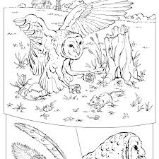 Show your kids a fun way to learn the abcs with alphabet printables they can color. Coloring Book Animals A To I