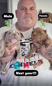 I swear I'll be good next year Santa...