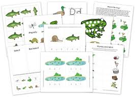 Pond life is a wonderful preschool theme because it explores animals that many of our preschoolers see out in their own yards, parks, and neighborhood. Pond Life Preschool Pack Free Preschool Printables