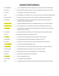 Learn vocabulary, terms, and more with flashcards, games, and other study tools. Animal Cell Vocab