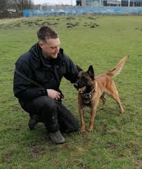 This advert is located in and around co durham, county durham. Durham Police Welcome Buddy The Canine Recruit The Northern Echo