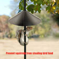 We did not find results for: Buy Squirrel Baffle Wrap Guard 16 Inch Squirrel Proof Baffle For Bird Feeder Easy To Install Metal Wrap Around Squirrel Baffle Protect Hanging Bird Feeders Bird Houses Poles From Squirrels Rodent
