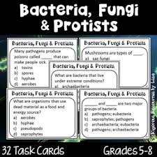 Bacteria Fungi And Protists Protists Task Cards Science Lessons