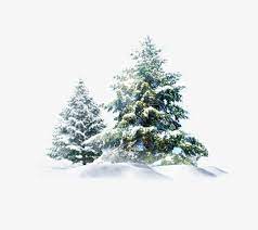 Christmas Snow Tree Creative Snow Tree Christmas Tree Clipart Christmas Tree Background
