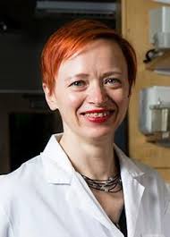 Named Professorships and Directorships