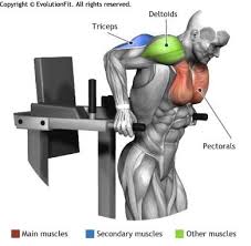 Pin On Workouts