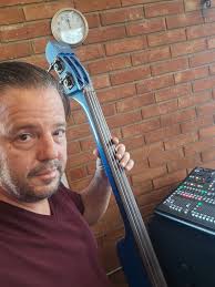 What pickups are best for upright bass?