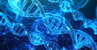 What is the most accurate dna test? All About Dna Curious