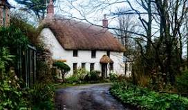 How long does a thatched roof last? | Thatched roof lifespan ...