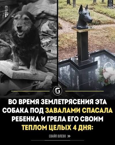 ������� � ��������� �� ����� ����, ������� �������� ��-��� ������� �� �����  ����������� ������������� 1988 ����, ������ ���������������� � ���������.  ������ �������� ����� ������ ��-��� �������� � ������ ����� �� ������, ���