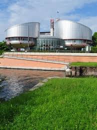 Informacje, opinie i komentarze na. Linki I Adresy Europejski Trybunal Praw Czlowieka Prawa Czlowieka Biuletyn Informacji Publicznej