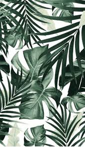 Choose from a curated selection of flower wallpapers for your mobile and desktop screens. Aesthetic Minimalist Plant Wallpaper Iphone Novocom Top