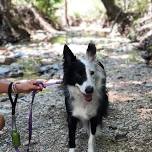 First Day Hike