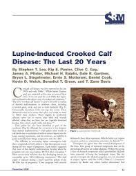 Lupine Induced Crooked Calf Disease The Last 20 Years