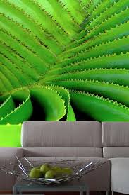 ورق جدران ثلاثي الأبعاد الكليبسو خياااال منتديات سكاو