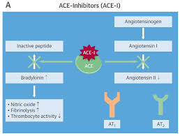 Image result for ACE Inhibitor