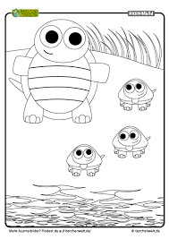 Malvorlage Schildkröte