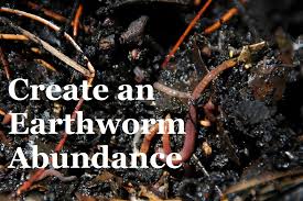Maybe you would like to learn more about one of these? How To Create An Abundance Of Earthworms In Your Garden Youtube