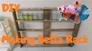 Diy Making Betta Rack Youtube