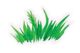Download Watercolour Grass Patch Svg Cut File By Creative Fabrica Crafts Creative Fabrica PSD Mockup Templates