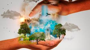 El día mundial del ambiente, surge por medio de la organización de naciones unidas (onu) que estableció por resolución a partir del 15 de diciembre donde se dio inicio a la conferencia de estocolmo de 1972 y se comienza a celebrar desde 1974 el 5 de junio de. Dia Mundial Del Medio Ambiente El Aporte De Los Gobiernos Locales Al Desarrollo Sostenible Mercociudades