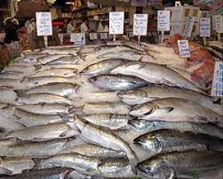 Înfiinţat în 1991, impact developer & contractor sa este primul dezvoltator imobiliar privat din românia și numără 16 ansambluri rezidenţiale finalizate, peste 400.000 de metri pătrați construiţi şi peste 4.000 de unităţi livrate la nivel naţional. Unde Se Va Construi Prima Piata De Peste Din Bucuresti