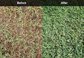 5 alternative lawn aeration techniques. An Application Of Time Released Nitrogen Which Improves Your Lawn S Color And Density Will Prepare Your Lawn Fo Fall Vegetables To Plant Core Aeration Mulching