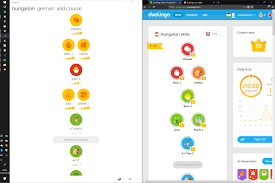 New technologies have made it much easier to learn languages and applications like duolingo have become. Psa The Old Pre Crowns System Still Runs On The Windows Desktop Version Of Duolingo Duolingo