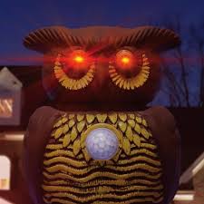 Bulbhead claims that this owl will repel unwanted raccoons, deer, squirrels, rabbits, and mice. Owl Alert Bulbhead