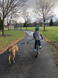 If you have a dog of your own or you don't mind other dogs coming into your garden, you might prefer a solution that will simply keep i have the same problem. Parasites And Poop The Importance Of Picking Up After Your Dog Vet In Walla Walla Associated Veterinary Medical Center