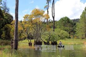 Chiều ngày 5/2, các đồng chí: Dá»± Bao Thá»i Tiáº¿t Ä'a Láº¡t Hom Nay Ngay Mai Va 10 Ngay Tá»›i