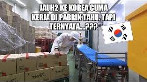 Syarat ijazah untuk bisa bekerja di korea selatan cukup ringan yaitu minimal ijazah smp bisa mengajukan lamaran untuk lowongan kerja di korea. Pekerjaan Cewek Di Korea Kerja Di Pabrik Tahu Youtube