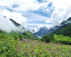 Image of Valley of Flowers National Park, Uttarakhand, India