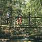 Past, Present & Future of Our Forests and What We Can Do for Them