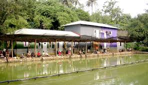 Teratai Kolam Khusus Lomba Buka Seminggu 3 Kali Rabu Sabtu Minggu Kabar Mancing