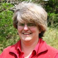 100+ perfiles de «Voss»