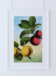 kitchen wall art apple apricot print