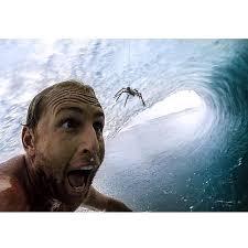 JACK'S BEAVER TAILS.