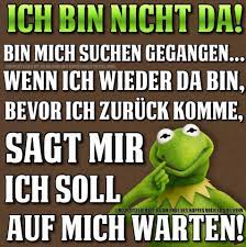 Kermit Der Frosch