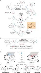 Image result for Schizozygia coffaeoides