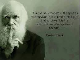 It S Not The Strongest Of The Species That Survives Nor The Most Intelligent That Survives It Is The One Th Darwin Zitate Lebensspruche Inspirierende Spruche