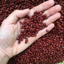 Chè đậu đỏ là món ăn thơm ngon, bổ dưỡng, được nhiều người ưa chuộng. Ä'áº­u Ä'á» Va Nhá»¯ng Cong Dá»¥ng Ä'áº·c Biá»‡t Khi Náº¥u NÆ°á»›c Uá»'ng Ong Tháº¯ng