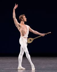 Apollo' landed in Saratoga