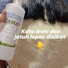 Informasi lebih lanjut hubungi via telp / wa di 08112582345. Ubat Kutu Paling Berkesan Tiada Racun Selamat Untuk Anak Anak Shopee Malaysia