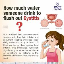 Image result for Recurrent Cystitis