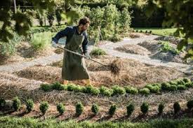 Son expérience paraît donc utilisable uniquement pour des cas similaires. Avantages De La Permaculture Pour Jardinier Debutant En France