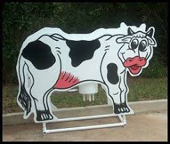 Inflatable Party Rentals Jumpin Beans Party Rentals Daytona Beach Farm Animals Birthday Party Festival Games Farm Animal Birthday